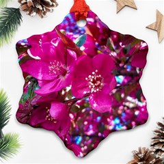 Pretty In Fuchsia 2 Snowflake Ornament (two Sides) by dawnsiegler