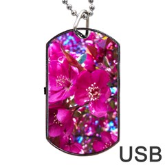 Pretty In Fuchsia 2 Dog Tag Usb Flash (two Sides) by dawnsiegler