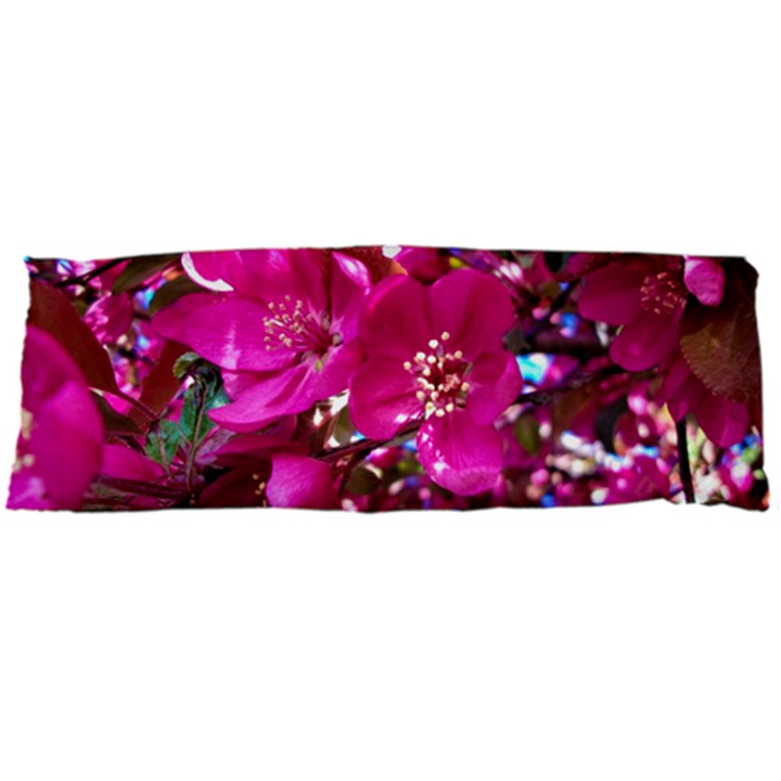 Pretty In Fuchsia 2 Body Pillow Case Dakimakura (Two Sides)