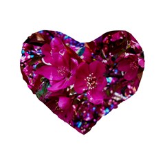 Pretty In Fuchsia 2 Standard 16  Premium Heart Shape Cushions by dawnsiegler