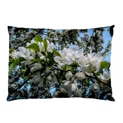 Pure And Simple 2 Pillow Case by dawnsiegler