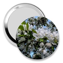 Pure And Simple 2 3  Handbag Mirrors by dawnsiegler