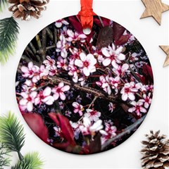 Morning Sunrise Ornament (round) by dawnsiegler