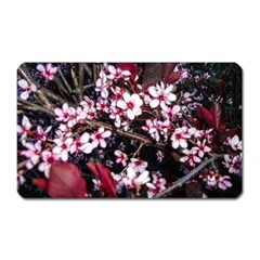 Morning Sunrise Magnet (rectangular) by dawnsiegler