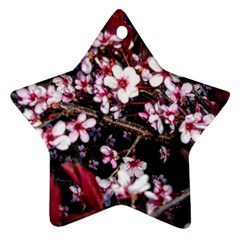 Morning Sunrise Star Ornament (two Sides) by dawnsiegler