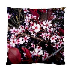 Morning Sunrise Standard Cushion Case (two Sides) by dawnsiegler