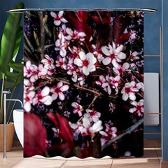 Morning Sunrise Shower Curtain 60  X 72  (medium)  by dawnsiegler