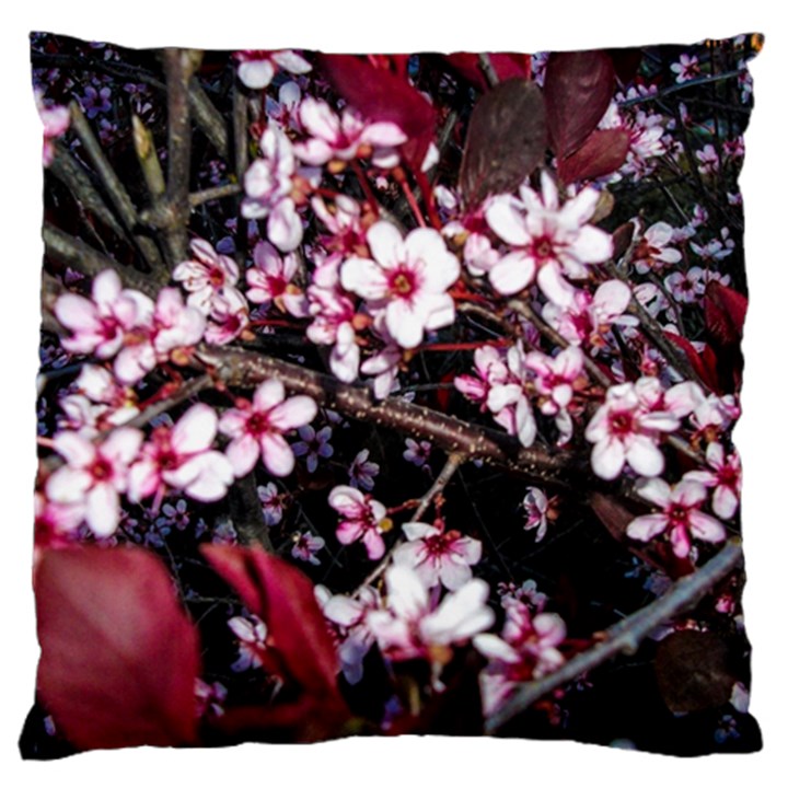 Morning Sunrise Large Cushion Case (Two Sides)