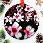 Morning Sunrise 2 Ornament (Round) Front