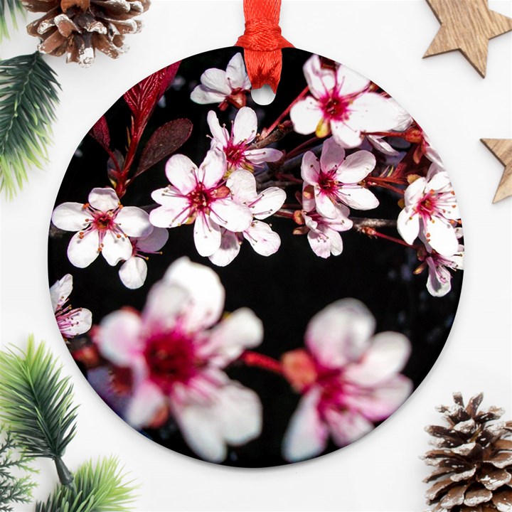 Morning Sunrise 2 Ornament (Round)