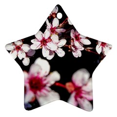 Morning Sunrise 2 Ornament (star) by dawnsiegler