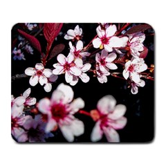 Morning Sunrise 2 Large Mousepads