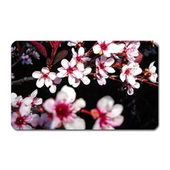 Morning Sunrise 2 Magnet (rectangular) by dawnsiegler