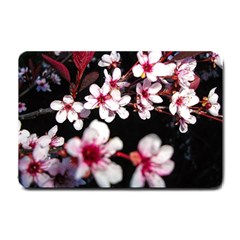 Morning Sunrise 2 Small Doormat  by dawnsiegler