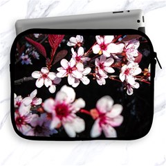 Morning Sunrise 2 Apple Ipad 2/3/4 Zipper Cases by dawnsiegler