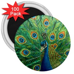 Royalty 3  Magnets (100 Pack)