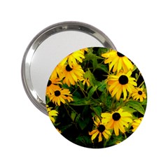 Walking Through Sunshine 2 25  Handbag Mirrors by dawnsiegler