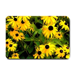 Walking Through Sunshine Small Doormat  by dawnsiegler