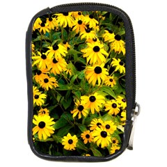 Walking Through Sunshine Compact Camera Cases by dawnsiegler