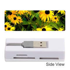 Walking Through Sunshine Memory Card Reader (stick)  by dawnsiegler