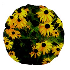 Walking Through Sunshine Large 18  Premium Round Cushions by dawnsiegler