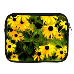 Walking Through Sunshine Apple Ipad 2/3/4 Zipper Cases by dawnsiegler