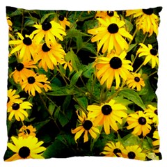 Walking Through Sunshine Large Flano Cushion Case (one Side) by dawnsiegler