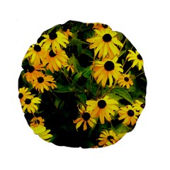 Walking Through Sunshine Standard 15  Premium Flano Round Cushions by dawnsiegler