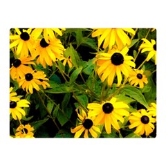 Walking Through Sunshine Double Sided Flano Blanket (mini)  by dawnsiegler