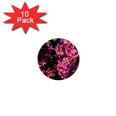 Lilacs 1  Mini Magnet (10 Pack) 