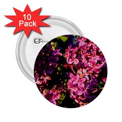 Lilacs 2 25  Buttons (10 Pack)  by dawnsiegler