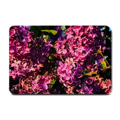 Lilacs Small Doormat  by dawnsiegler