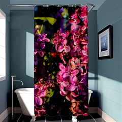 Lilacs Shower Curtain 36  X 72  (stall) 