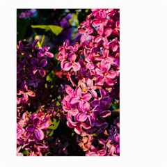 Lilacs Large Garden Flag (two Sides) by dawnsiegler