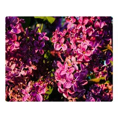 Lilacs Double Sided Flano Blanket (large)  by dawnsiegler