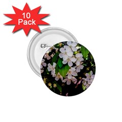 Tree Blossoms 1 75  Buttons (10 Pack) by dawnsiegler