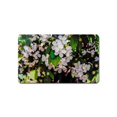 Tree Blossoms Magnet (name Card) by dawnsiegler