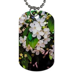 Tree Blossoms Dog Tag (one Side) by dawnsiegler