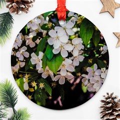 Tree Blossoms Round Ornament (two Sides)