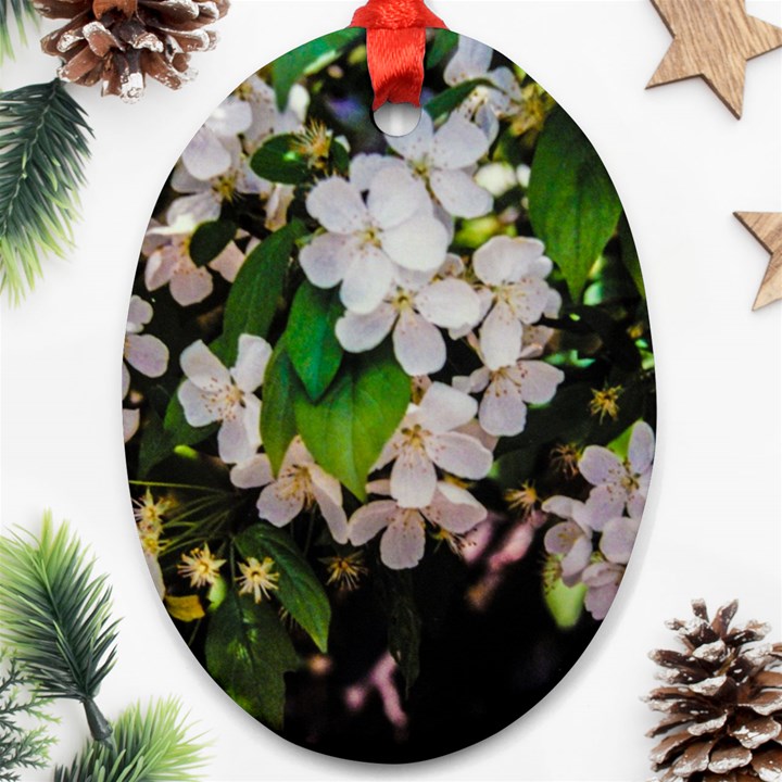 Tree Blossoms Oval Ornament (Two Sides)