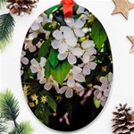 Tree Blossoms Oval Ornament (Two Sides) Back