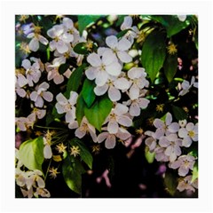 Tree Blossoms Medium Glasses Cloth (2-side) by dawnsiegler