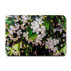 Tree Blossoms Small Doormat  by dawnsiegler