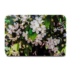 Tree Blossoms Plate Mats