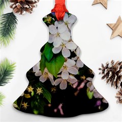 Tree Blossoms Christmas Tree Ornament (two Sides) by dawnsiegler