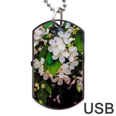 Tree Blossoms Dog Tag Usb Flash (one Side) by dawnsiegler