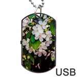 Tree Blossoms Dog Tag USB Flash (Two Sides) Front