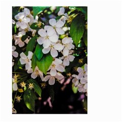 Tree Blossoms Large Garden Flag (two Sides) by dawnsiegler