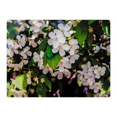 Tree Blossoms Double Sided Flano Blanket (mini)  by dawnsiegler