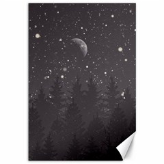 Night Full Star Canvas 12  X 18   by berwies